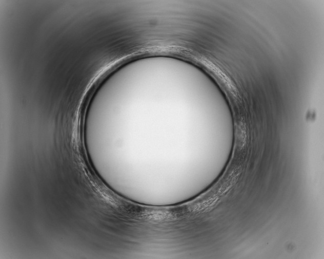 X0000103490886200810031603