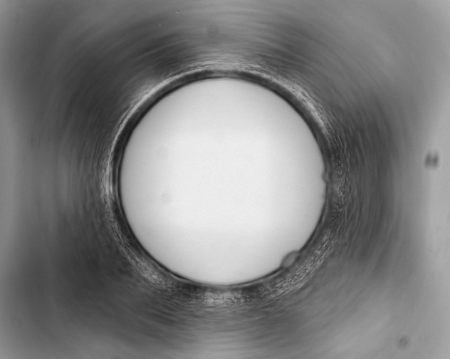 X0000103490887200810031603