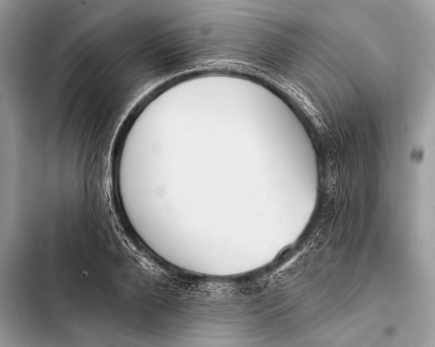 X0000103490888200810031603