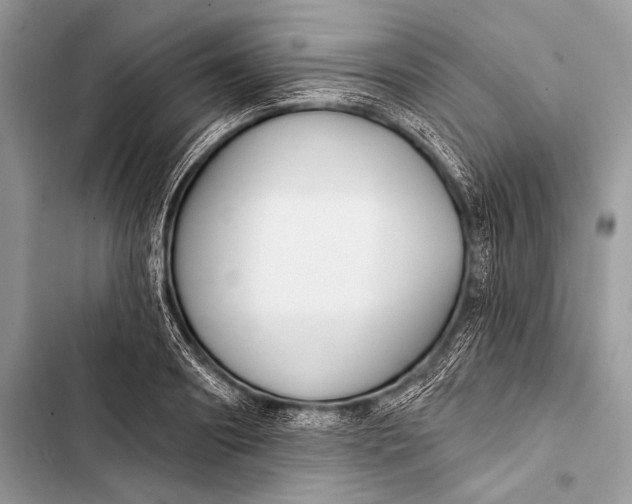 X0000103490890200810031603