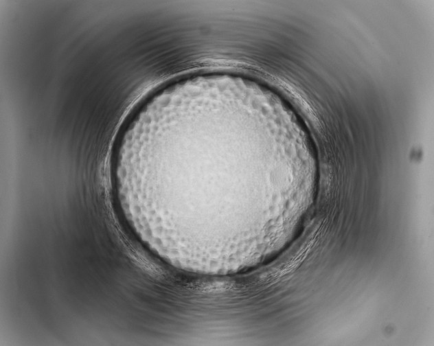 X0000103490891200810031603