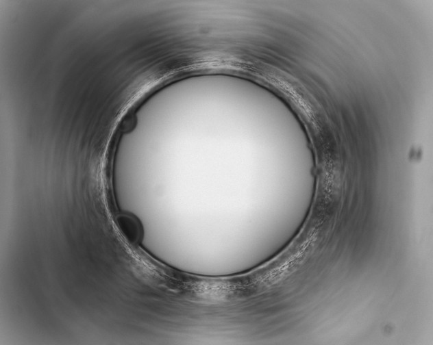 X0000103490893200810031603