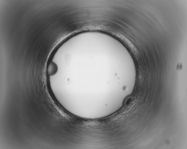 X0000103490894200810031603