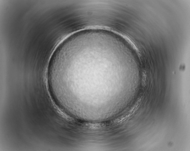 X0000103490895200810031603