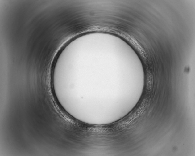 X0000103490896200810031603