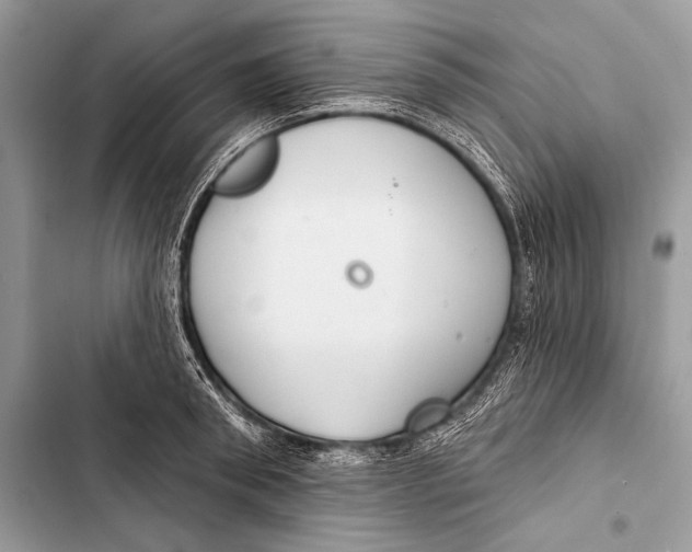 X0000103490898200810031603