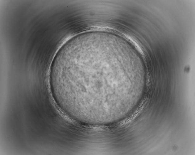 X0000103490899200810031603