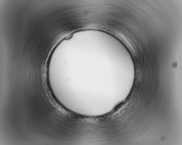 X0000103490900200810031603