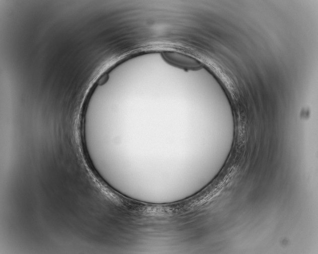 X0000103490901200810031603