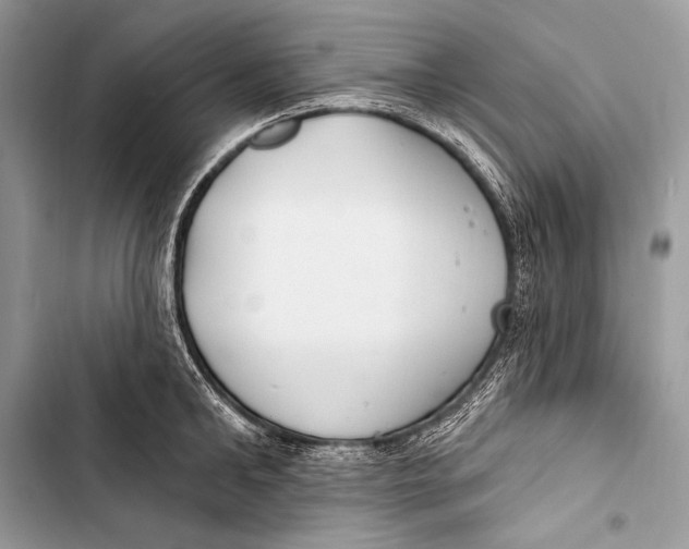 X0000103490902200810031603