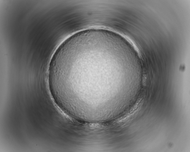 X0000103490903200810031603