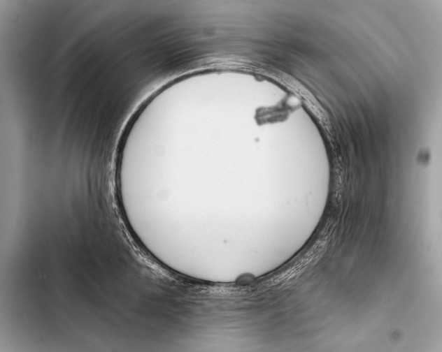 X0000103490904200810031603