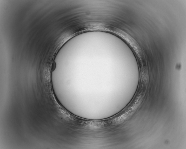 X0000103490905200810031603