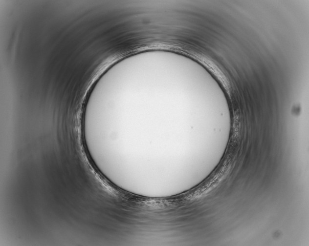 X0000103490906200810031603