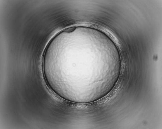 X0000103490907200810031603