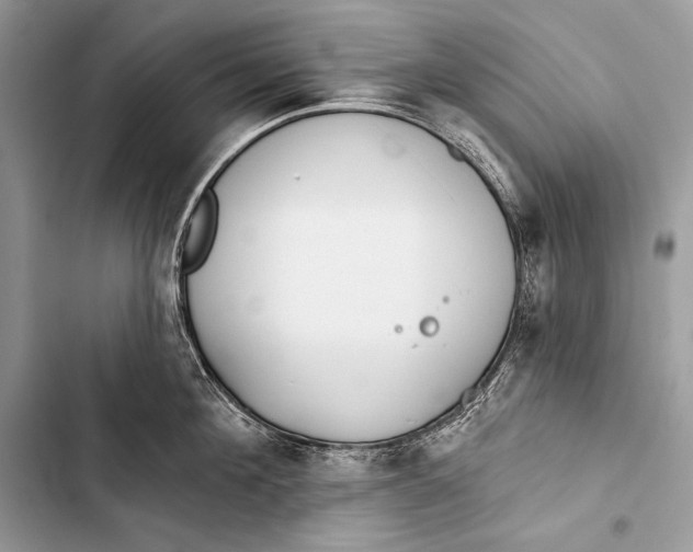 X0000103490908200810031603