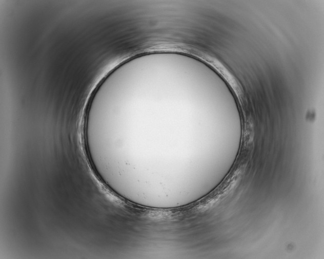 X0000103490909200810031603