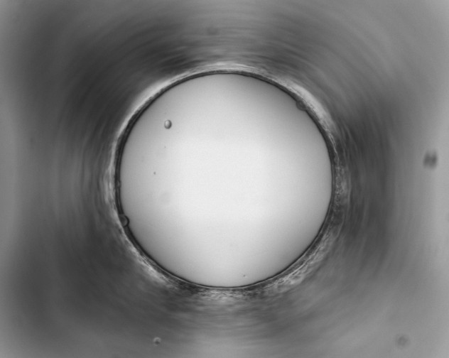 X0000103490910200810031603