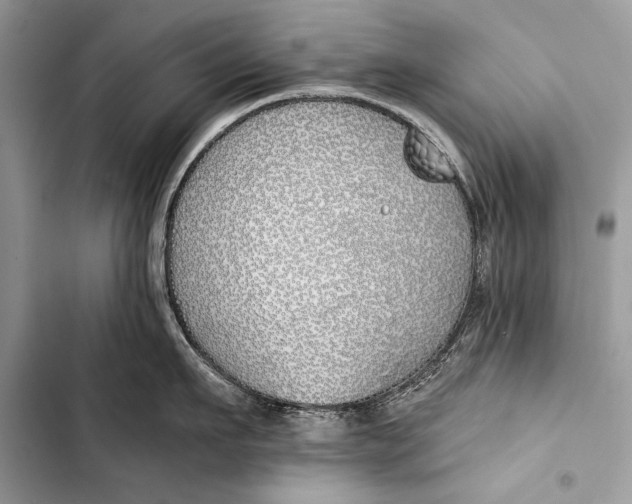 X0000103490911200810031603