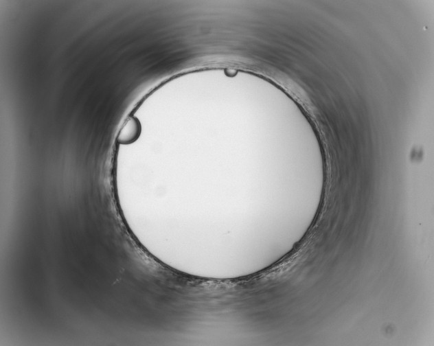 X0000103490912200810031603