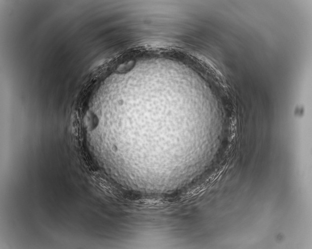 X0000103490917200810031602