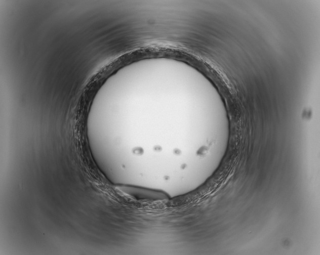 X0000103490919200810031602