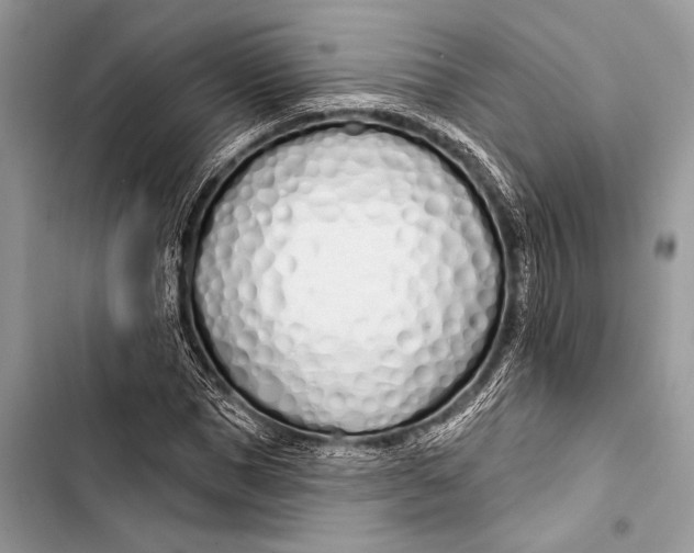 X0000103490921200810031602