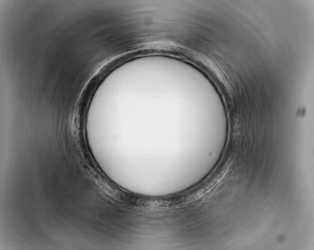 X0000103490923200810031602