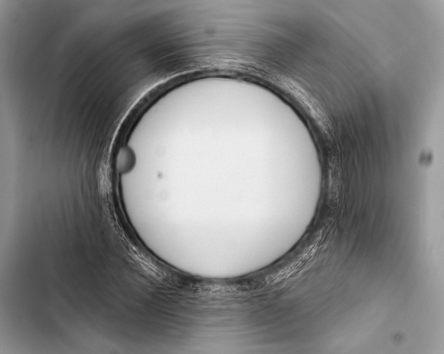 X0000103490924200810031602