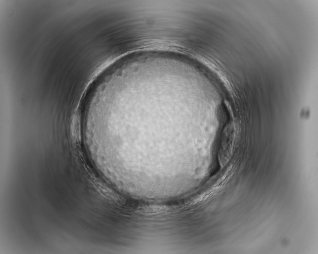 X0000103490925200810031602