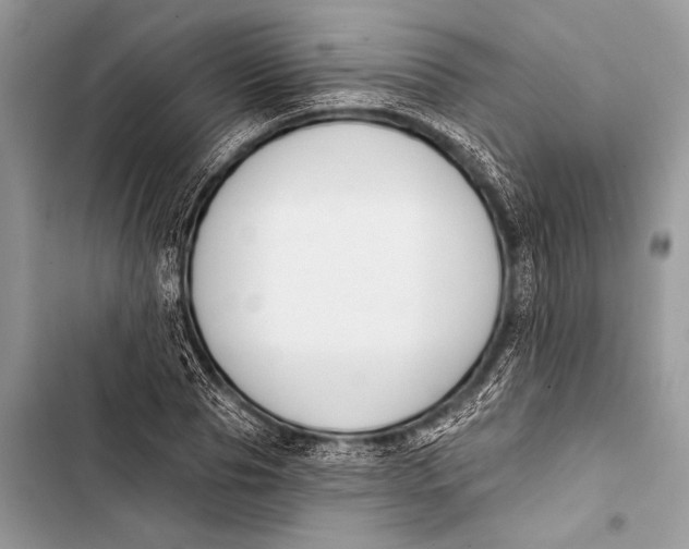 X0000103490929200810031602