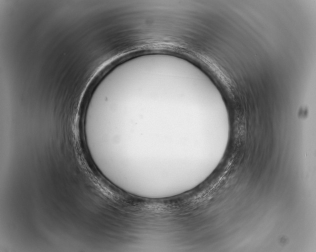 X0000103490932200810031602