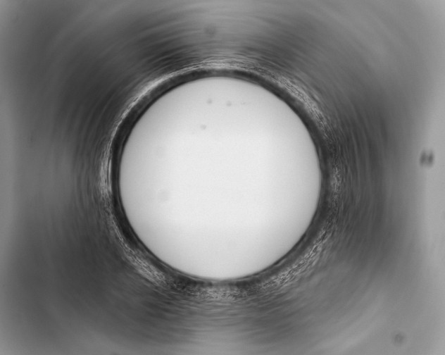 X0000103490934200810031602