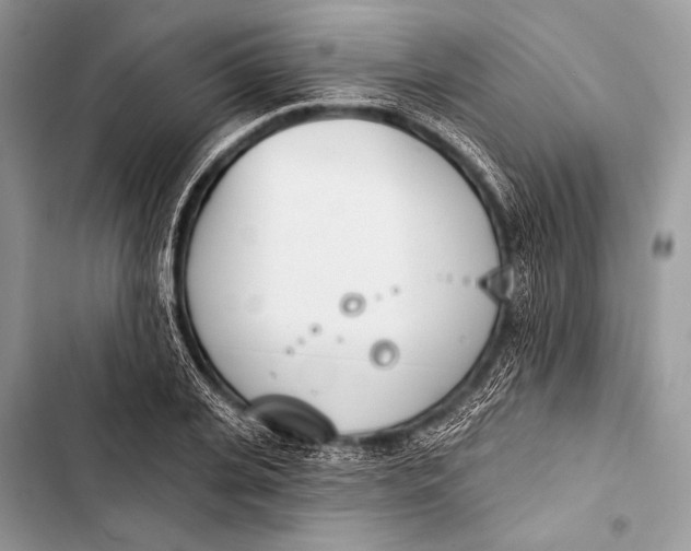 X0000103490935200810031602