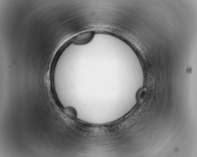 X0000103490936200810031602