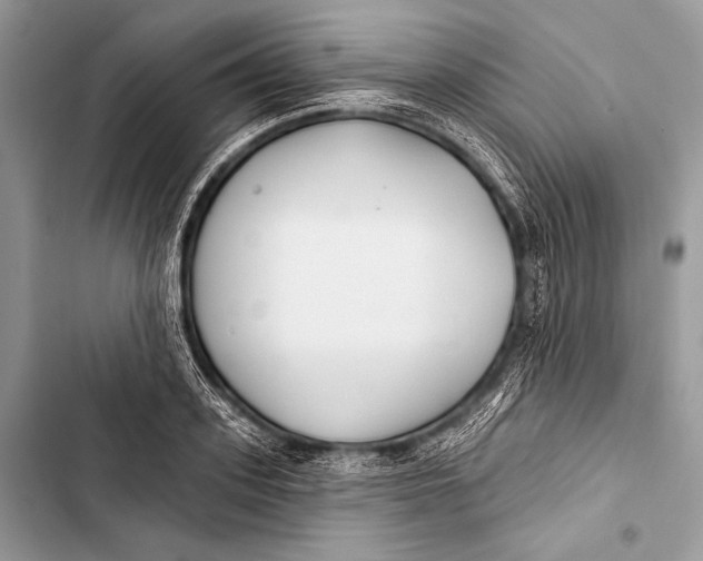 X0000103490939200810031602