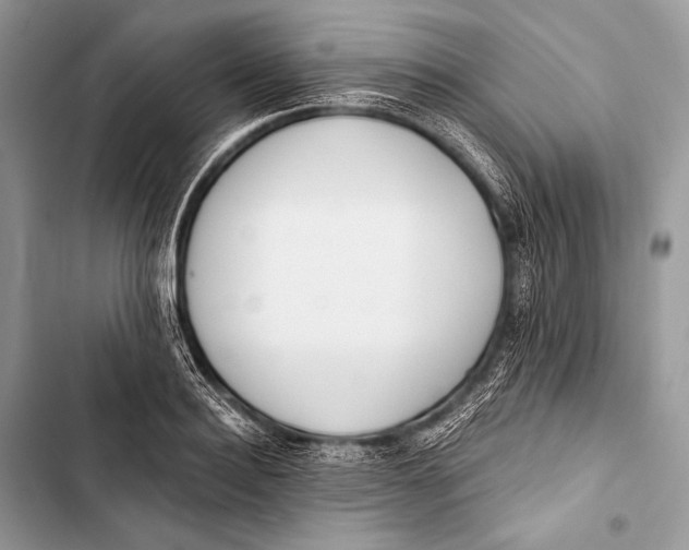 X0000103490940200810031602