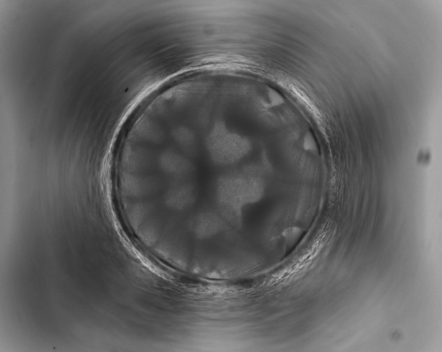 X0000103490941200810031602