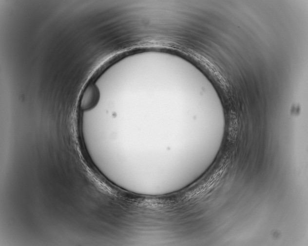 X0000103490942200810031602