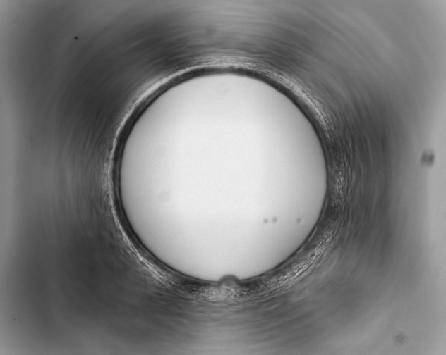 X0000103490943200810031602