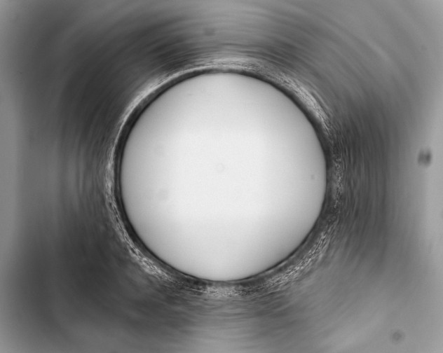 X0000103490944200810031602