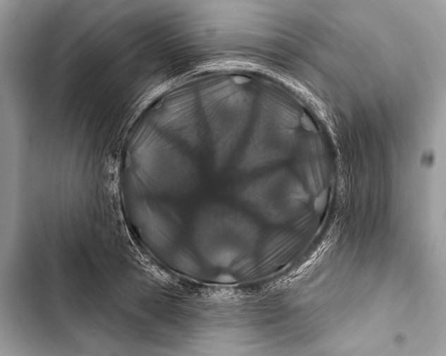 X0000103490945200810031602