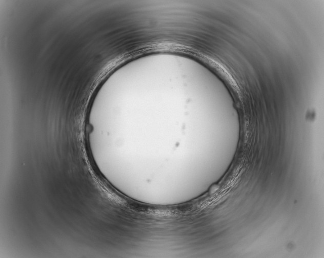 X0000103490946200810031603