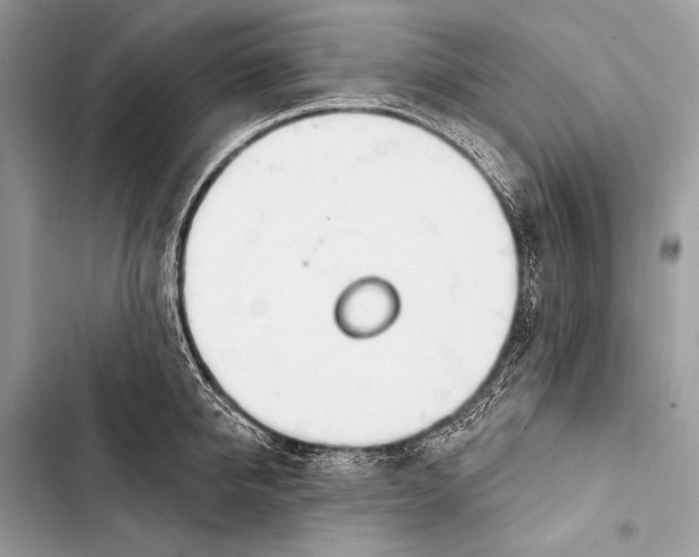 X0000103490950200810031603