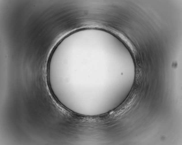 X0000103490951200810031603