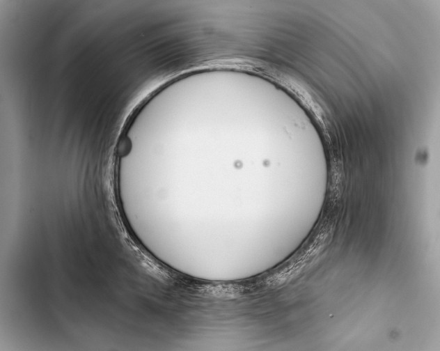 X0000103490952200810031603