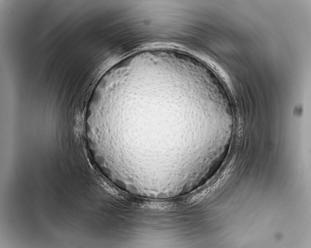 X0000103490953200810031603