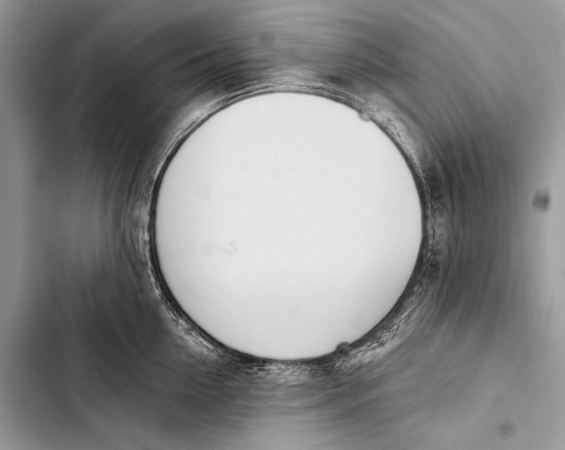 X0000103490954200810031603