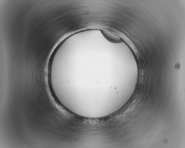 X0000103490955200810031603