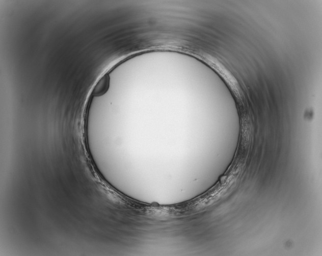 X0000103490956200810031603